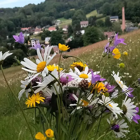 Lucni Dobromysl A Laskavec * Cerny Dul
